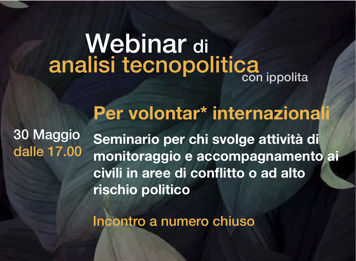 webinar per volontari internazionali