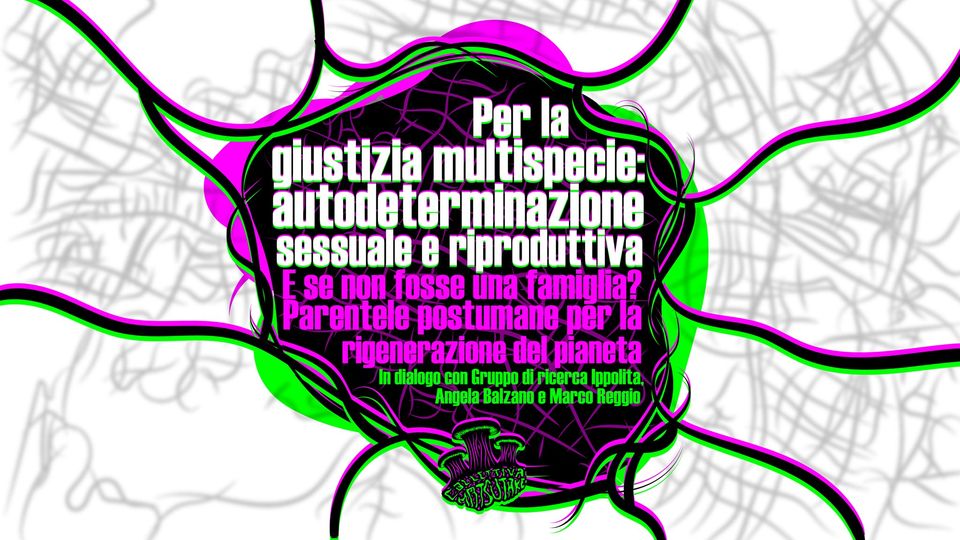 bolo Parentele postumane Balzano, Reggio, Ippolita