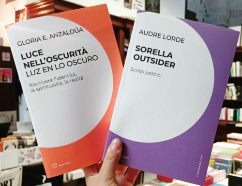 Anzaldua e Lorde per Culture Radicali la nostra collana di libri in Meltemi editore