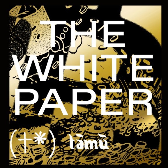 the white paper