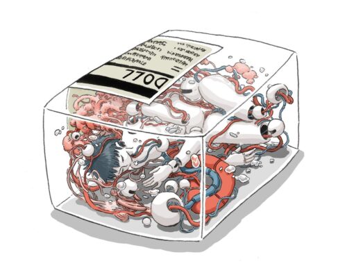 Elvira Federici Intelligenza artificiale, un’intervista a Ippolita, Leggendaria 168 (2025)