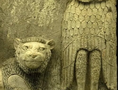 Collettivo Trickster e Ippolita venerdi 3 ottobre  libreria Antigone Milano su Attivismo spirituale. (RIMANDATO PER MOBILITAZIONI CONTRO IL GENOCIDIO)