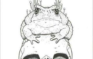 Ippolita per Robert Chapman