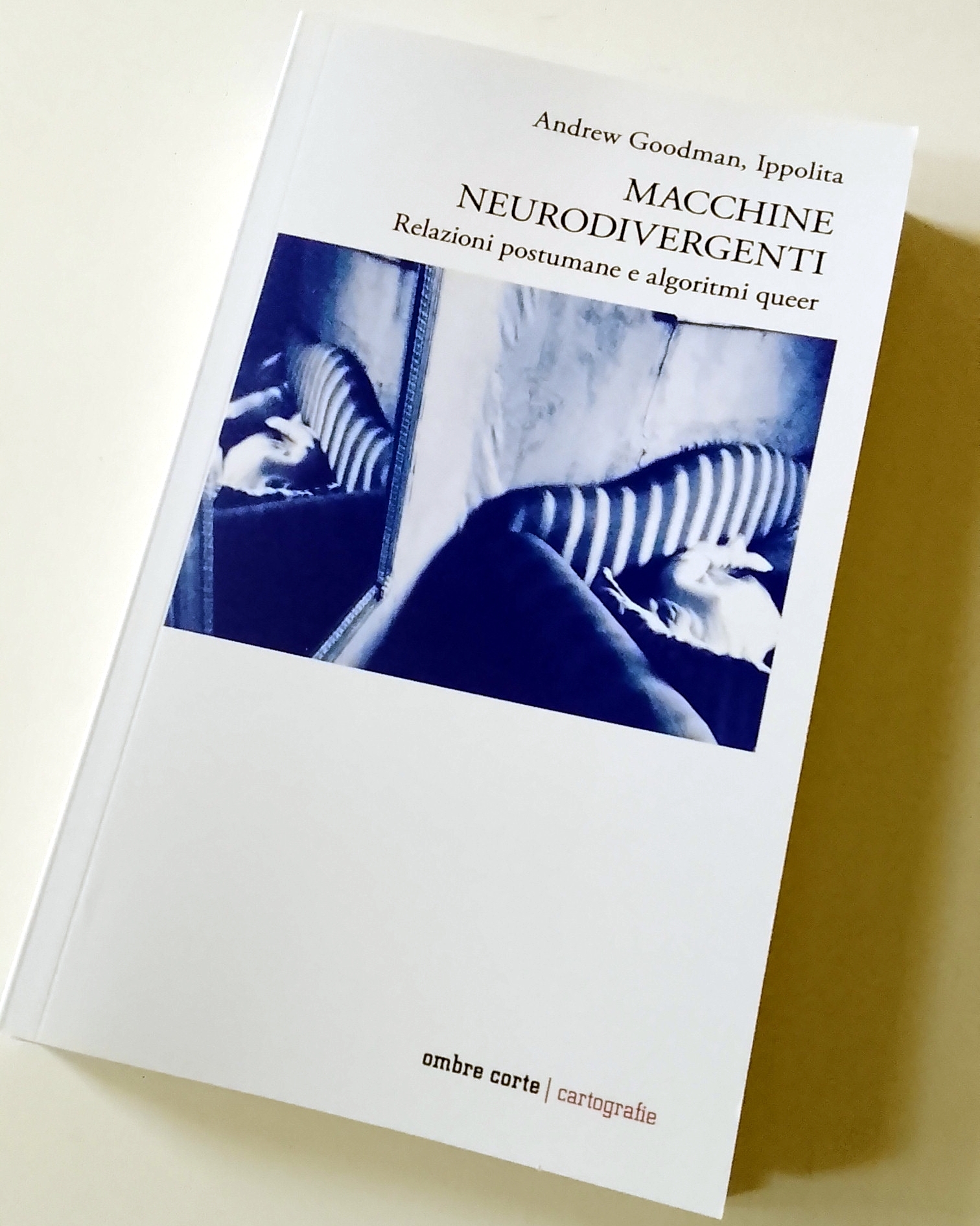 Macchine neurodivergenti Relazioni postumane